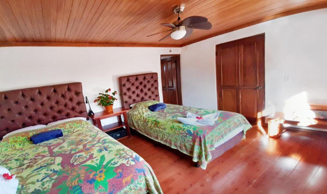 Luna Inn B&B Ciudad Cariari Екстер'єр фото